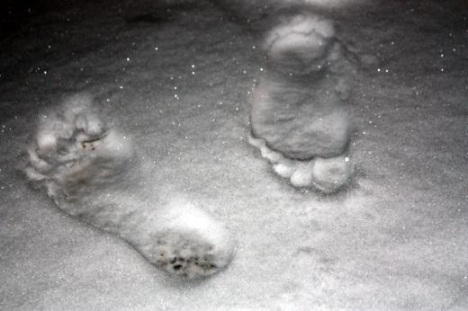 Spuren im Schnee Spuren im Schnee